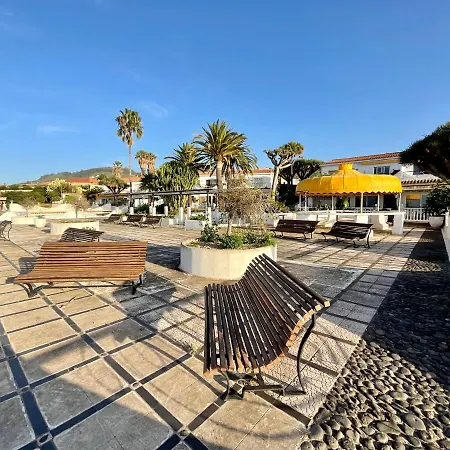 Sweetpearl * 塔科龙特