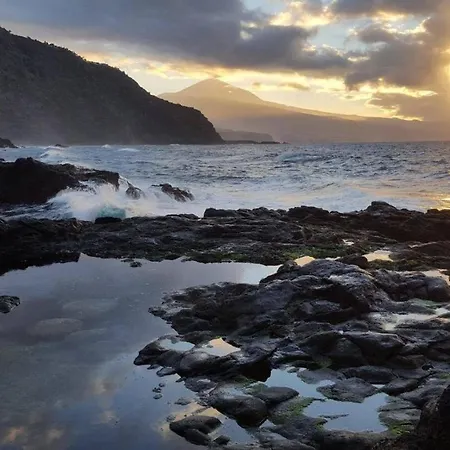 Sweetpearl * تاكورونتي