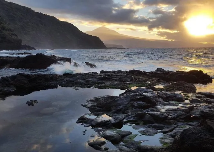 Sweetpearl * Tacoronte